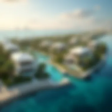 Palm Jumeirah: A Glimpse of Opulence Aerial view of Palm Jumeirah showcasing luxury villas and waterfront properties