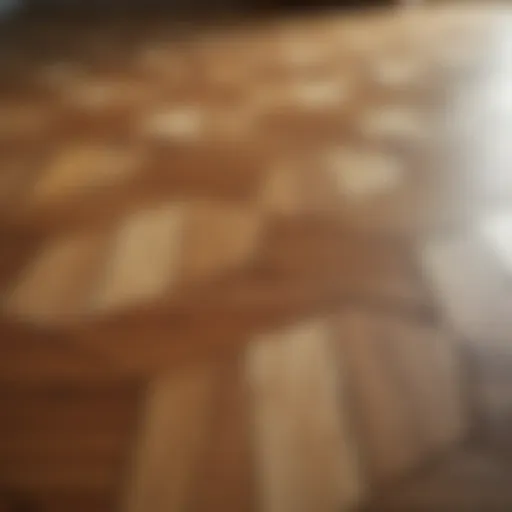 Close-up view of intricately designed wooden parquet flooring patterns