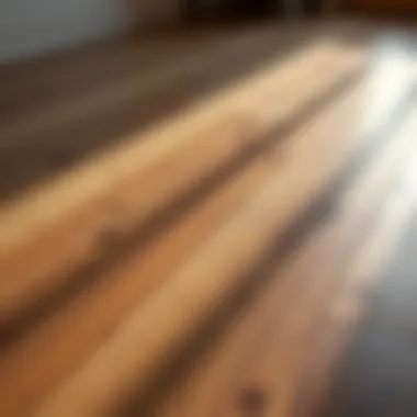 Variety of Finishes in Wooden Parquet Flooring Variety of wooden parquet flooring samples showcasing different finishes